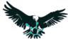Eagle Carbon Clean